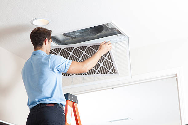Best Air Filters and Purifiers in Walnut Grove, GA